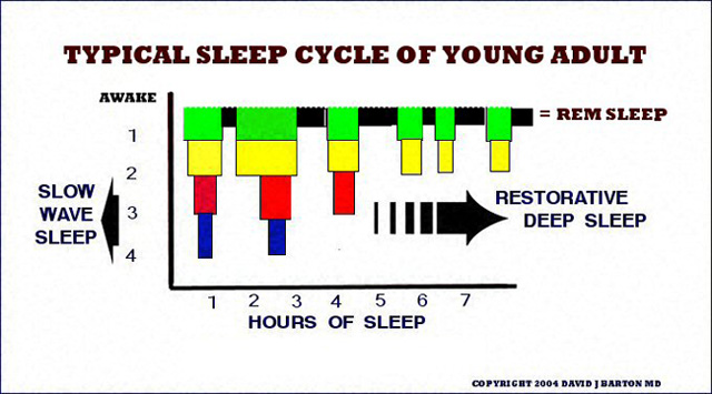 Sleep is the Most Critical